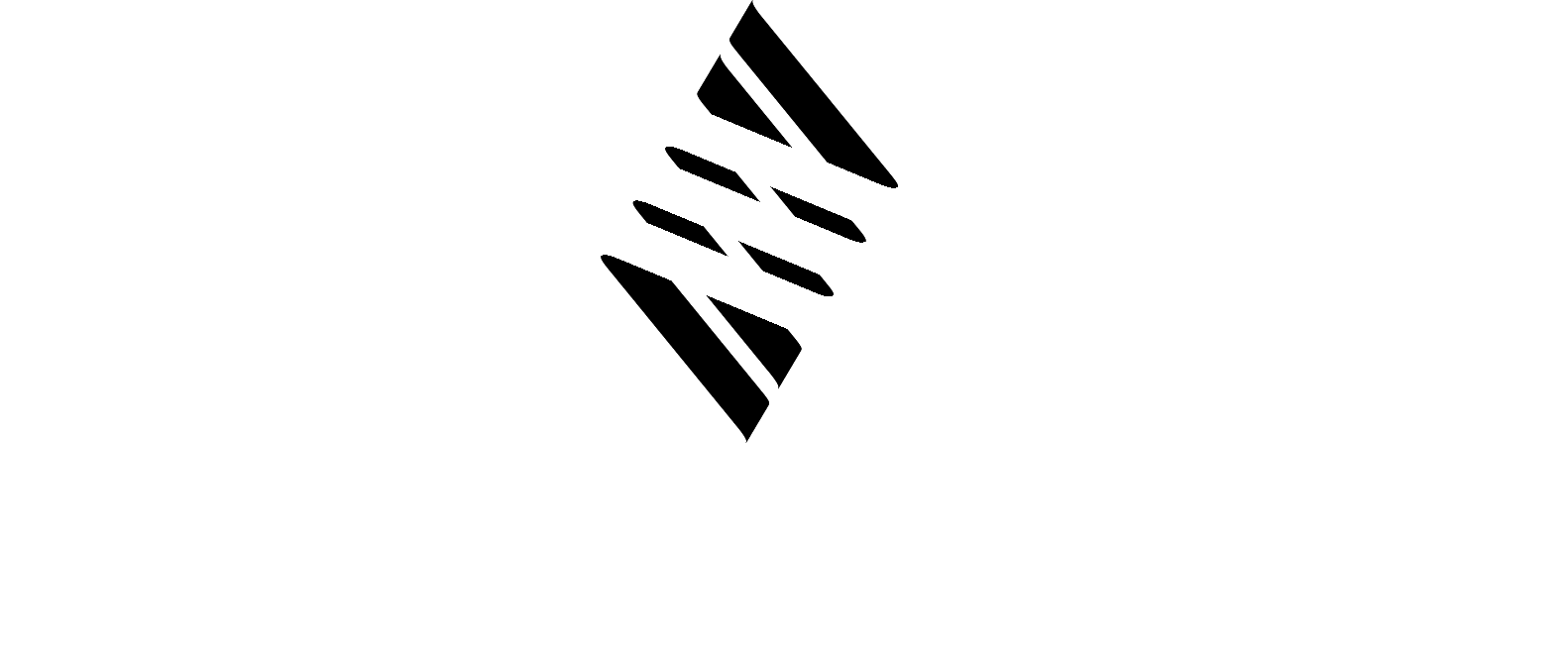 emerson logo blanco